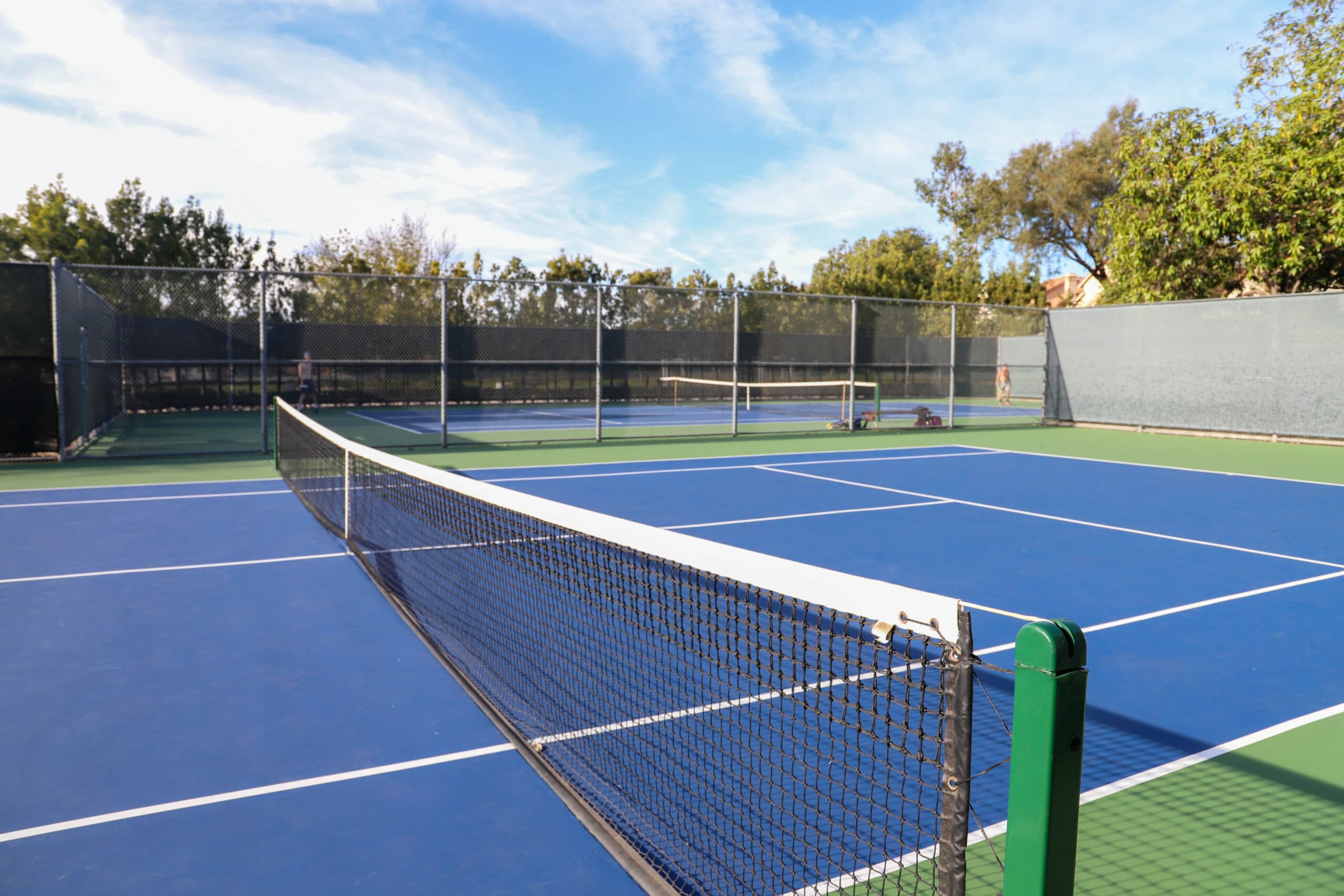 Premier Tennis League court background